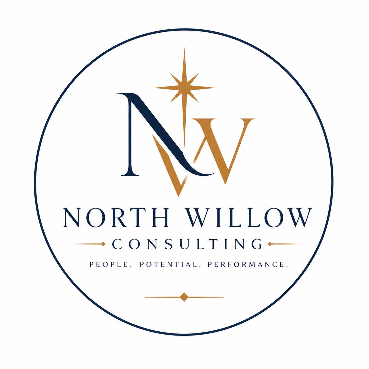 North Willow Consulting logo